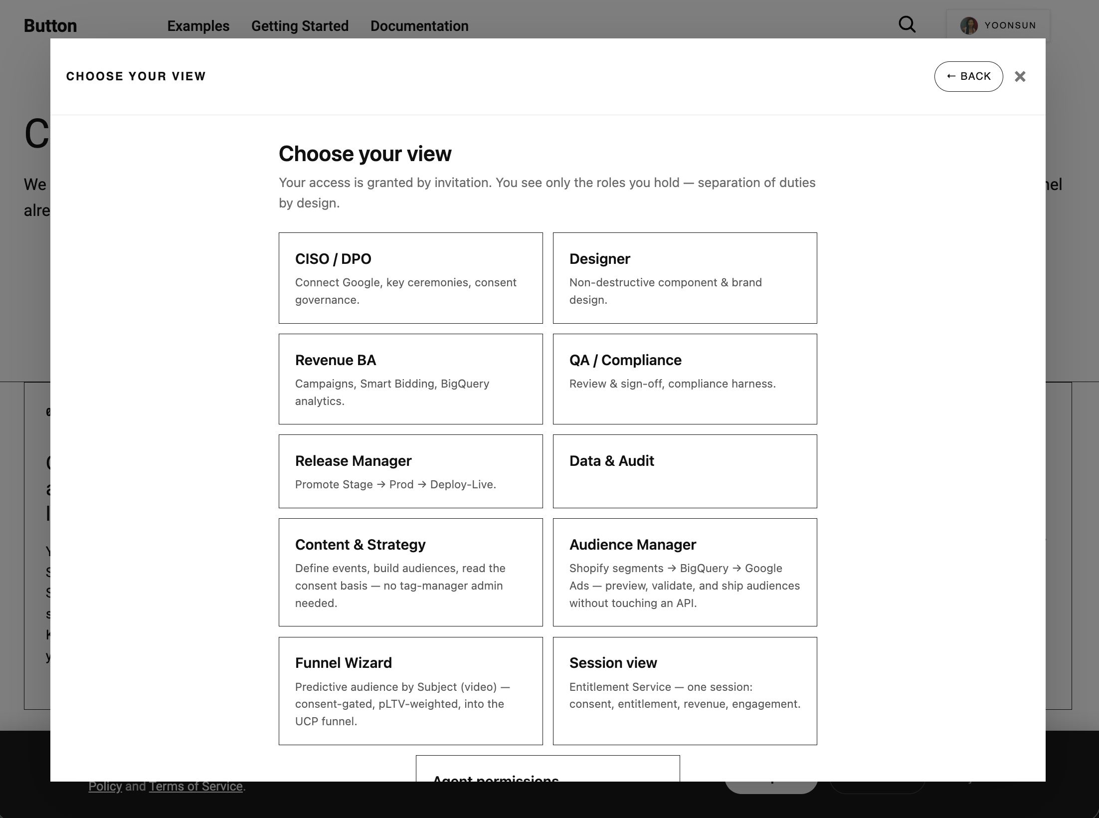 The Choose-your-view role picker — the entitlement plane — on the AEM page